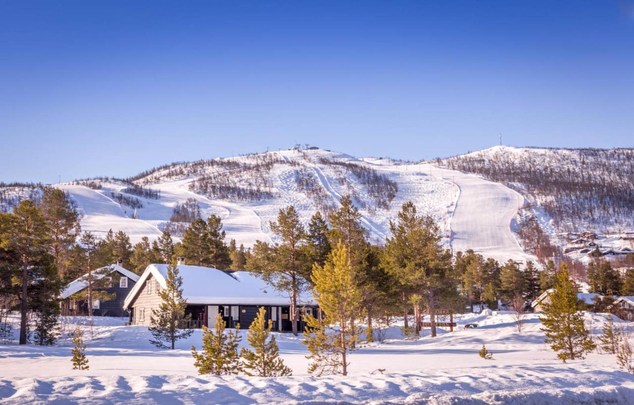 Geilolia Hyttetun Chalet Geilo